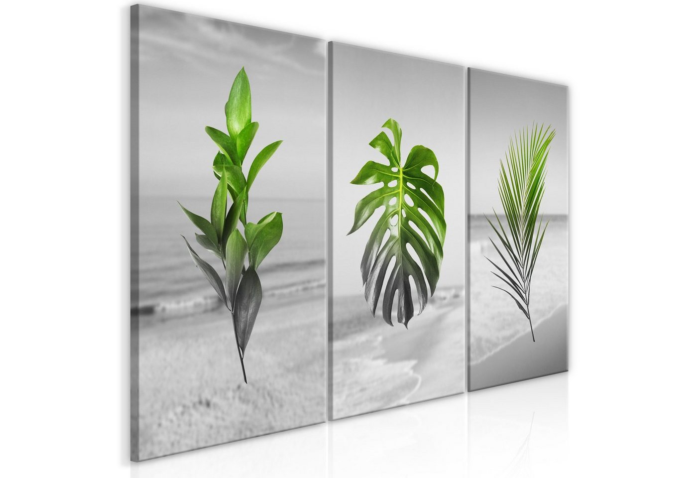 Artgeist Wandbild Plants (Collection) von Artgeist