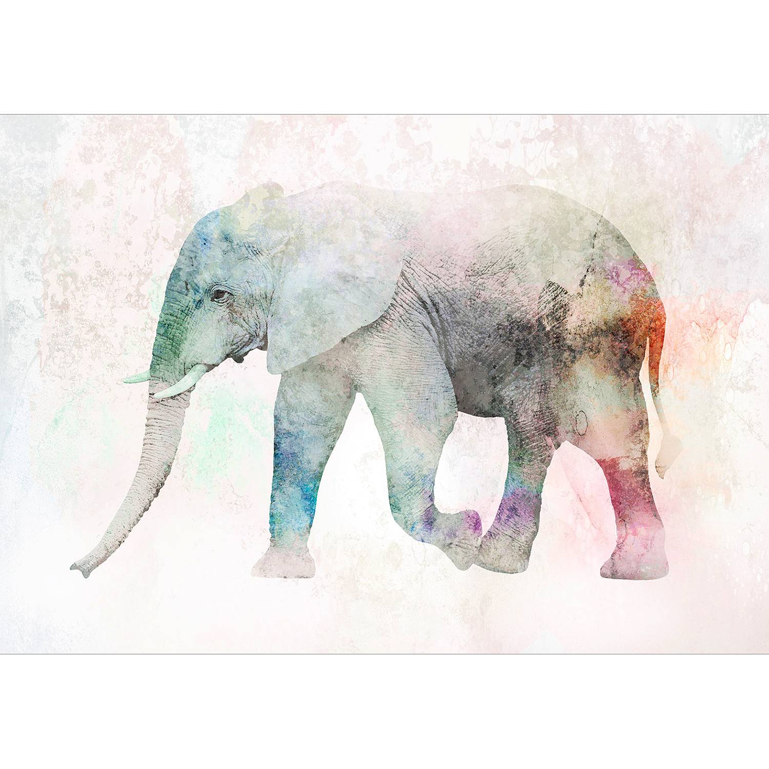Vlies Fototapete Painted Elephant von Artgeist