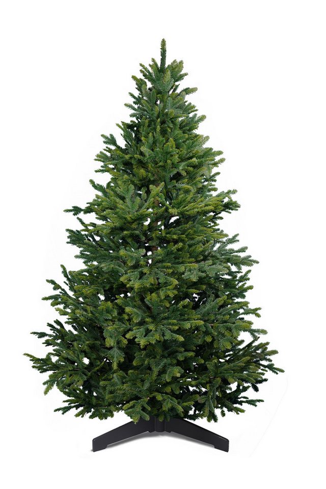 ArtiTree Künstlicher Weihnachtsbaum Künstliche Nordmanntanne – Premium Weihnachtsbaum naturgetreu ArtiTree Künstlicher Weihnachtsbaum Künstliche Nordmanntanne – Premium Weihnachtsbaum naturgetreu von ArtiTree
