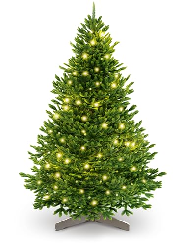Weihnachtsbaum künstlich [100% Spritzguss] - Naturgetreuer Tannenbaum mit Stabiler Spitze | Nordfichte inkl. FSC zertifiziertem Holzständer & reißfester Tasche (mit Beleuchtung, 100 cm) von ArtiTree