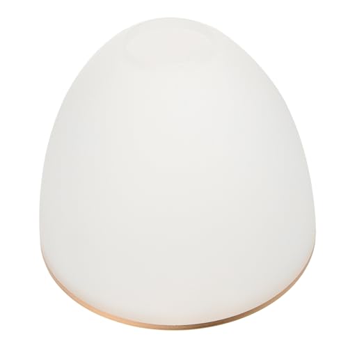 ARTIBETTER Glas Lampenschirm Ersatz für Pendelleuchte Transparentes Langlebiges Lampenglas mit Einfachem Design Stabilem Material und Vielseitiger Anwendung für Wohnzimmer Schlafzimmer Flur ARTIBETTER Glas Lampenschirm Ersatz für Pendelleuchte Transparentes Langlebiges Lampenglas mit Einfachem Design Stabilem Material und Vielseitiger Anwendung für Wohnzimmer Schlafzimmer Flur von Artibetter