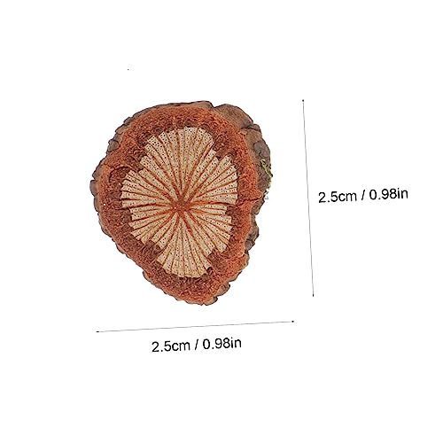 ARTIBETTER Packung Natürliche Rote Rattan Holzscheiben Rustikale DIY Bastelchips für Tischdekoration Hochzeit Kranzgestaltung Geschenke Vielseitig und Langlebig ARTIBETTER Packung Natürliche Rote Rattan Holzscheiben Rustikale DIY Bastelchips für Tischdekoration Hochzeit Kranzgestaltung Geschenke Vielseitig und Langlebig von Artibetter
