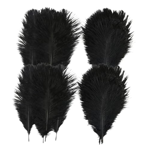 Artibetter 1 Satz Schwarze Straußfedern Bastelset Natürliche Federn Für Vasen Dekoration Hochzeits Accessoires Und Kreative DIY Projekte 20 Stück von Artibetter