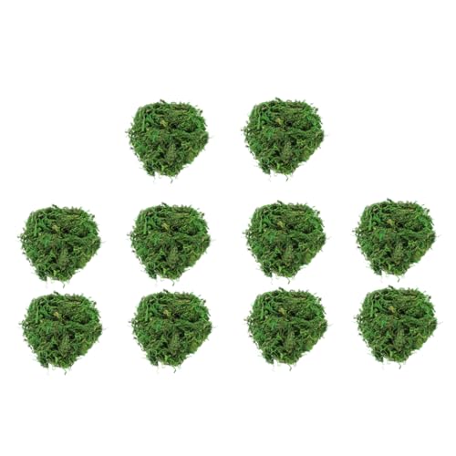 Artibetter 10 Stück Moosdekoration Kunstmoos Groß Im Topf DIY Getrocknetes Moos Für Terrarium Sphagnum Konserviertes Moos Flechtenpflanzen Feengartenpflanzen Moos Dekoratives von Artibetter