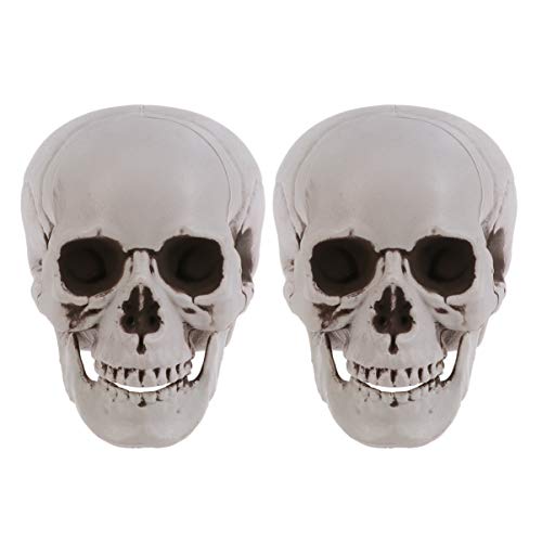 Artibetter 2 Stück künstlicher Totenkopf menschlicher Schädel Schädel menschlicher Schädel Modell Desktop Ornament Party Zubehör für Halloween Geisterhaus, plastik, siehe abbildung, 37 von Artibetter