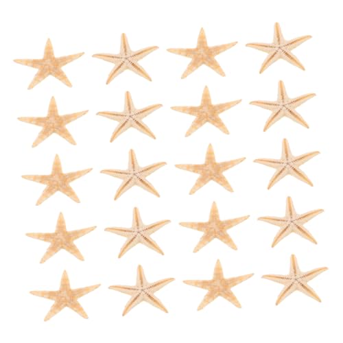 Artibetter 20stücke Mini Dekorationen Für Projekte Natürliche Seesterne Für Epoxidharz Strand- Kerzen Und Dekorationen Artibetter 20stücke Mini Dekorationen Für Projekte Natürliche Seesterne Für Epoxidharz Strand- Kerzen Und Dekorationen von Artibetter