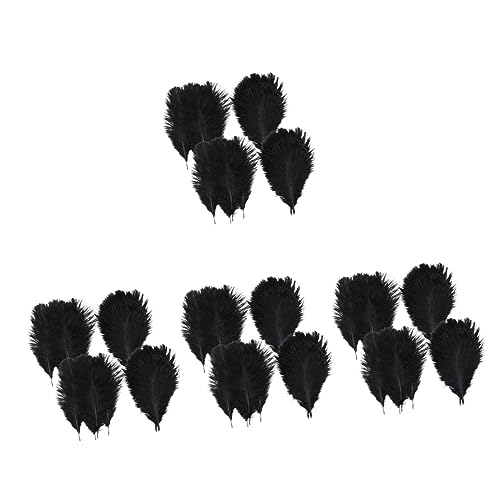 Artibetter 4 Sätze Schwarze Federn Für DIY Hochzeits Und Partydekoration Natürliche Straußfedern Zur Vase Und Blumenarrangement Gestaltung 20 Stück * 4 von Artibetter