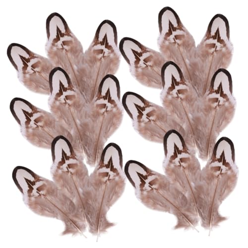 Artibetter 50 Stück Natürliche Federn Dekorative Bastelfedern für DIY Party Accessoires und Festtagsdekorationen für Projekte und Gestaltung Artibetter 50 Stück Natürliche Federn Dekorative Bastelfedern für DIY Party Accessoires und Festtagsdekorationen für Projekte und Gestaltung von Artibetter