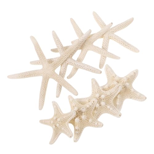 Artibetter 8 Stück Teiliges Natürliche Seestern Deko für DIY Landschaft Realistische Vase Füller Langlebige Stranddekoration für Aquarium und Bastelprojekte von Artibetter