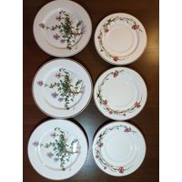 3 +3 Botanica Vintage Villeroy Und Boch Teller 20 cm 18, 5 Modell Thymus Pulegioides Made in Luxembourg, Villeroy & von ArticulosUNICUM