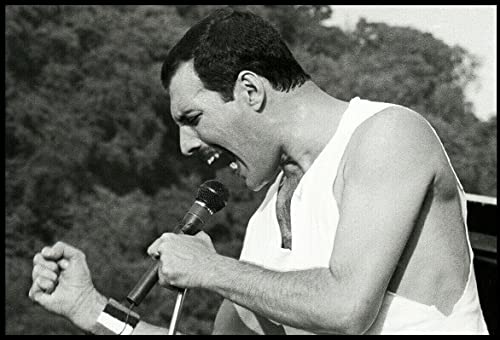 Artificial Posters QUEEN POSTER SLANE CASTLE IRELAND 1986 FREDDIE MERCURY LIVE Artificial Posters QUEEN POSTER SLANE CASTLE IRELAND 1986 FREDDIE MERCURY LIVE von Artificial Posters