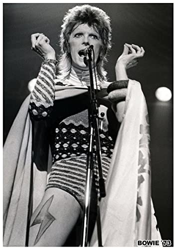 Artificial Posters DAVID BOWIE POSTER 1973 LIVE ON STAGE ZIGGY STARDUST von Artificial Posters