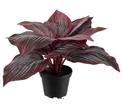 Artificielles.com Hosta im Topf, Höhe 20 cm, Durchmesser 30 cm, breite rote Blätter, Farbe: Rot von Artificielles.com