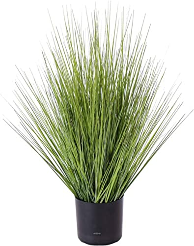 Artificielles.com - Isolepsis Künstliche Gräser, grün, Höhe 60 cm, im Topf, Durchmesser 30 cm von Artificielles.com