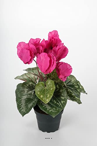 Artificielles.com - Künstliche Alpenveilchen im Topf, 7 Köpfe, Höhe 33 cm, Fuchsia – Farbe: Fuchsia 730 Artificielles.com - Künstliche Alpenveilchen im Topf, 7 Köpfe, Höhe 33 cm, Fuchsia – Farbe: Fuchsia 730 von Artificielles.com