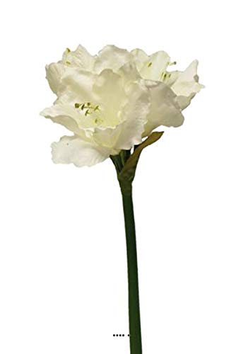 Artificielles.com Künstliche Amaryllis, Höhe 65 cm, wunderschöne Creme, cremefarben von Artificielles.com