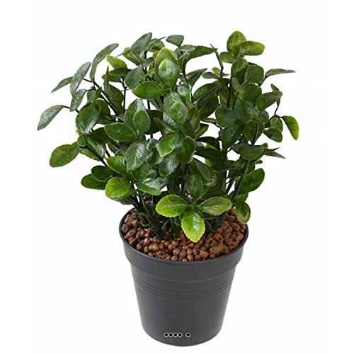 Artificielles.com - Künstliche Berberis aus Erdspieß für den Außenbereich H 28 cm D 20 cm von Artificielles.com