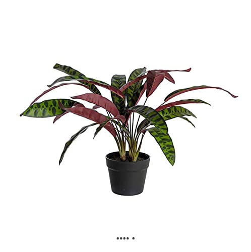 Artificielles.com - Künstliche Calathea im Topf, H 60 cm, D 65 cm, hochwertige Qualität von Artificielles.com