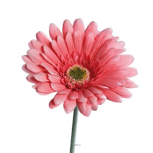 Artificielles.com - Künstliche Gerbera, H 56 cm – D 11 cm Wunderschöne Rose – Farbe: Rosa 715 von Artificielles.com