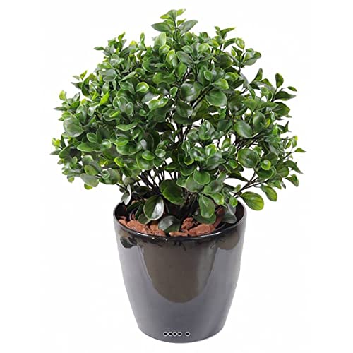Artificielles.com - Künstliche Peperomia im Topf, Busch im Außenbereich, D 60 cm Artificielles.com - Künstliche Peperomia im Topf, Busch im Außenbereich, D 60 cm von Artificielles.com