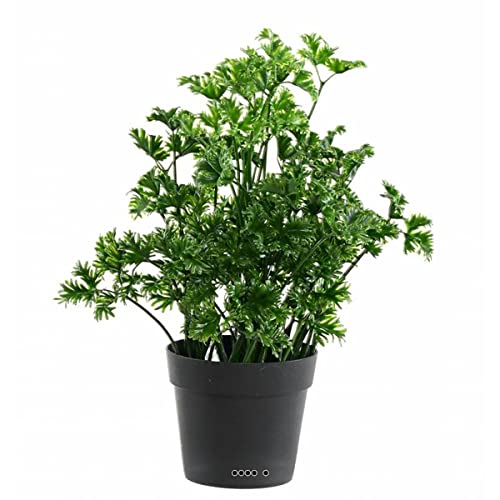 Artificielles.com - Künstliche Petersilie im Topf für den Außenbereich, Höhe 25 cm von Artificielles.com