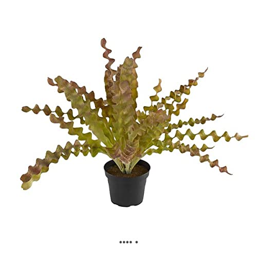 Artificielles.com - Künstlicher Aspleniumfarn aus Kunststoff im Topf, H 34 cm, D 48 cm, cremefarben, grün von Artificielles.com