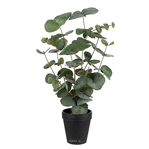 Artificielles.com - Künstlicher Eukalyptus im Topf, Höhe 55 cm von Artificielles.com