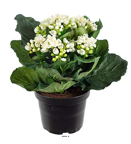 Artificielles.com - Künstliche Kalanchoe im Topf, Höhe 20 cm, niedlich, sehr dicht, cremefarben von Artificielles.com
