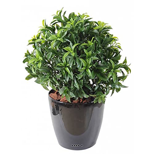 Artificielles.com - Künstlicher Lorbeer im Topf, Außenstrauch, Höhe 70 cm, Höhe: 70 cm, Farbe: Grün von Artificielles.com