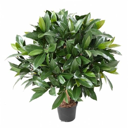 Artificielles.com - Künstlicher Lorbeer in Kugel auf Außenstamm H 50 cm D 40 cm – Höhe: 50 cm – Farbe: Grün von Artificielles.com
