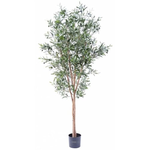 Artificielles.com - Künstlicher Olivenbaum im Topf, 3 Stämme, Höhe 180 cm, Grün – wählen Sie Ihre Höhe: 180 cm – Farbe: Grün von Artificielles.com