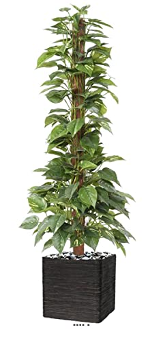 Artificielles.com - Künstlicher Pothos auf Rankhilfe im sehr dichten Topf, Höhe 130 cm, grün-weiß von Artificielles.com
