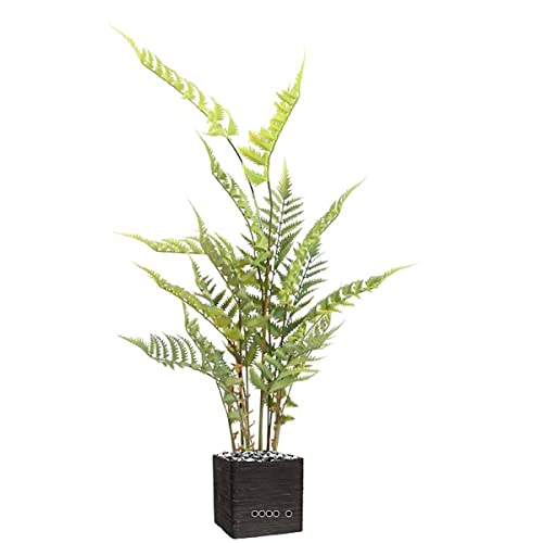Artificielles.com - Künstlicher Waldfarn im Topf, Höhe 80 cm, Grün von Artificielles.com
