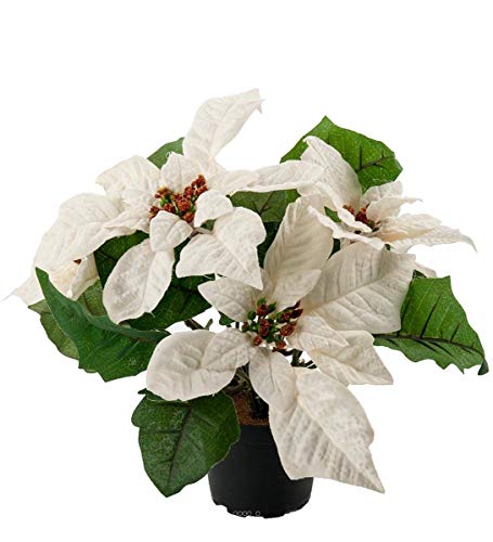Artificielles.com - Künstlicher Weihnachtsstern im Topf, Höhe 26 cm, sehr dicht, 5 Blüten, cremefarben von Artificielles.com