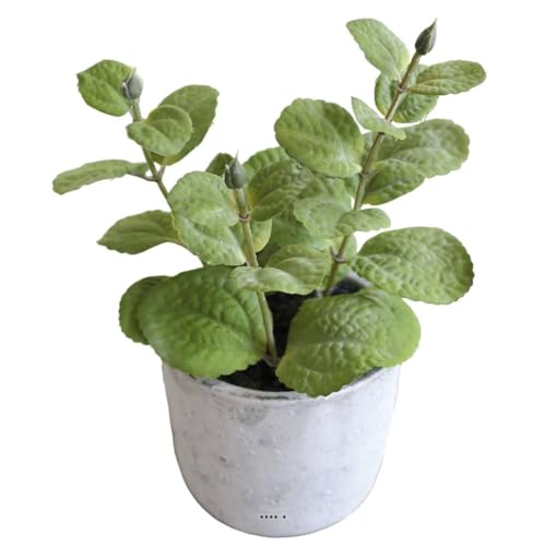 Artificielles.com - Künstliches Kräutergras Minze H 17 cm, D 11 cm Topf Beton Artificielles.com - Künstliches Kräutergras Minze H 17 cm, D 11 cm Topf Beton von Artificielles.com
