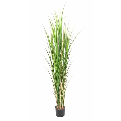 Artificielles.com - Kunstgras im Topf, sehr dicht und breit in Holzoptik, Höhe 165 cm, Grün – Höhe: Grün – Farbe: Schwarz Artificielles.com - Kunstgras im Topf, sehr dicht und breit in Holzoptik, Höhe 165 cm, Grün – Höhe: Grün – Farbe: Schwarz von Artificielles.com