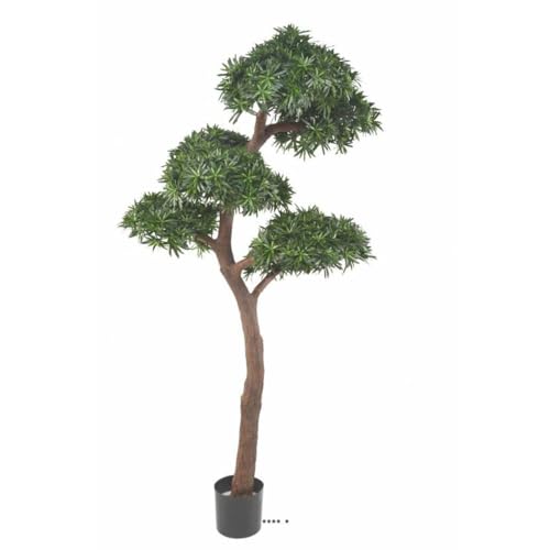 Artificielles.com - Kunstpflanze Podocarpus im Topf im Außenbereich H 210 cm L 100 cm Artificielles.com - Kunstpflanze Podocarpus im Topf im Außenbereich H 210 cm L 100 cm von Artificielles.com