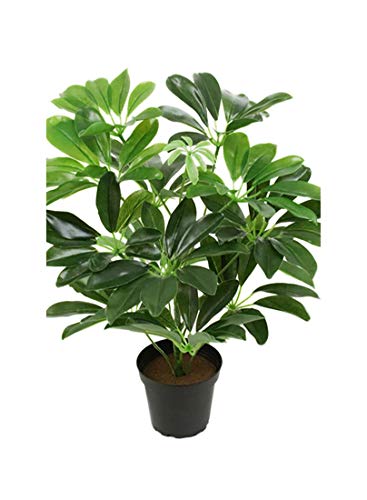 Artificielles.com - Schefflera Kunstpflanze im Topf, grün, Höhe 40 cm, Durchmesser 35 cm, Original von Artificielles.com