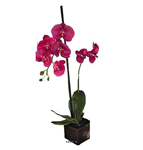 Artificielles.com - Wunderschöne künstliche Orchidee im Topf, Höhe 75 cm, Fuchsia - Farbe: Fuchsia 730 von Artificielles.com