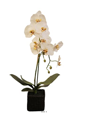 Artificielles.com - Wunderschöne künstliche Orchidee im Topf, Höhe 75 cm, Schneeweiß – Farbe: Schneeweiß Artificielles.com - Wunderschöne künstliche Orchidee im Topf, Höhe 75 cm, Schneeweiß – Farbe: Schneeweiß von Artificielles.com
