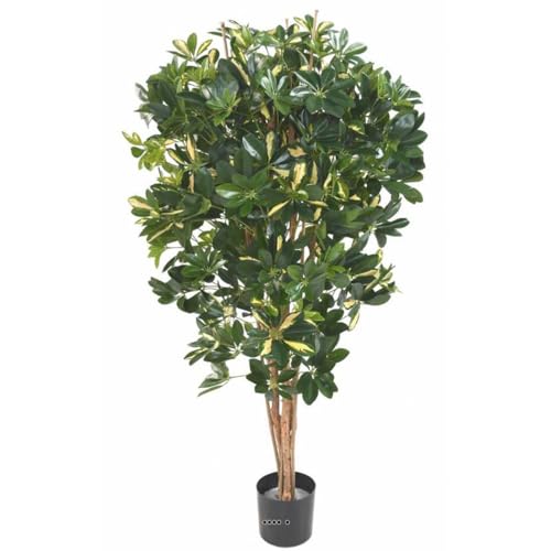 Artificielles.com - Wunderschöne künstliche Schefflera im Topf mit mehreren Stämmen, Höhe 150 cm, grün-gelb – Höhe: 150 cm – Farbe: Grün-Gelb Artificielles.com - Wunderschöne künstliche Schefflera im Topf mit mehreren Stämmen, Höhe 150 cm, grün-gelb – Höhe: 150 cm – Farbe: Grün-Gelb von Artificielles.com