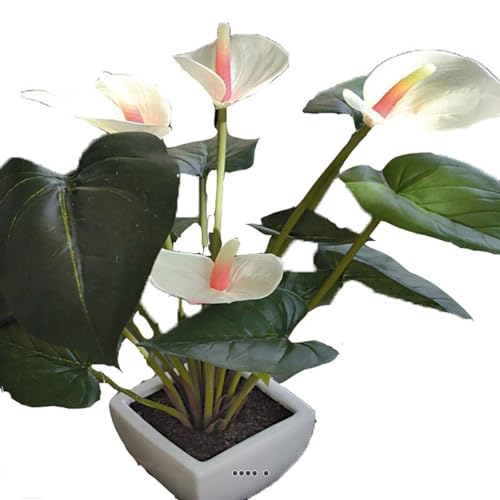 Artificielles.com - Wunderschöner künstlicher Anthurium im Topf, Höhe 41 cm, Grün-Rosa Artificielles.com - Wunderschöner künstlicher Anthurium im Topf, Höhe 41 cm, Grün-Rosa von Artificielles.com