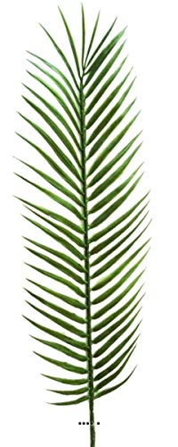 Künstliche – Palmenblatt für Cycas H 57 cm x12 Kunststoff für Außen D 15 cm tolle von Artificielles