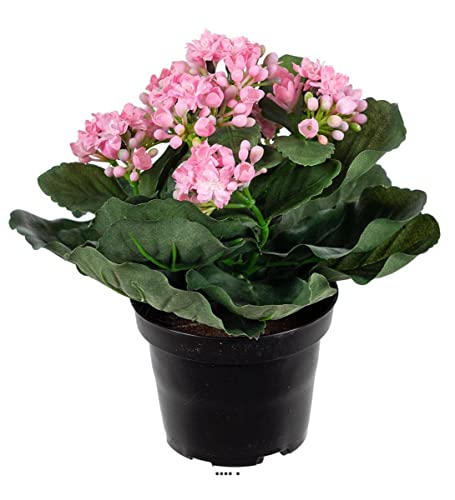 Künstliche – künstlicher Kalanchoe in Topf H 20 cm Adorable und Tres dichten Rosa – Farbe: pink von Artificielles