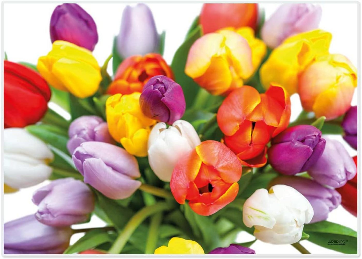 Platzset, Artipics Tischsets Platzsets abwaschbar for You (Tulips) 4er-Set Kunststoff 42x30 cm, Artipics Tischkunst, (1-St) von Artipics Tischkunst