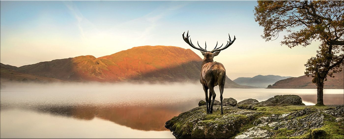 artissimo Glasbild Glasbild XXL 125x50 cm Bild aus Glas Wandbild groß Natur Tiere braun, Berge: Hirsch am See von Artissimo