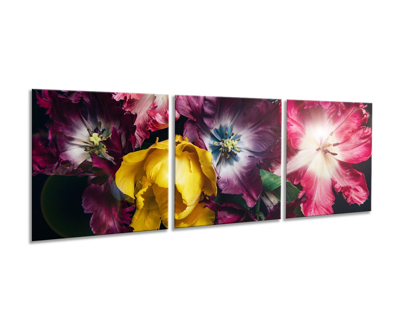 artissimo Glasbild mehrteiliges Glasbild 150x50cm Bild aus Glas 3-Teiler Blumen bunt von artissimo