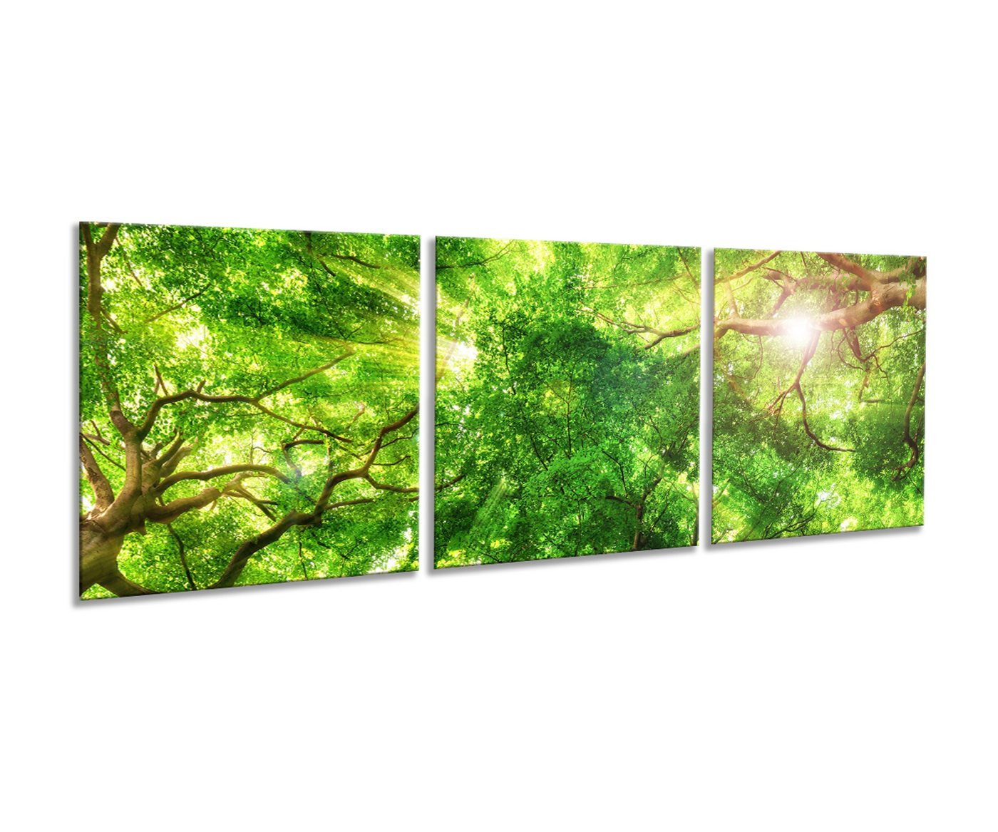 artissimo Glasbild mehrteiliges Glasbild 150x50cm Bild aus Glas 3-Teiler Wald Bäume grün von artissimo