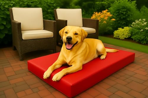 Artistic Fashionista Limited Wasserdichtes Haustierbett, Kissen, Haustierbett, Matratze, Hundebett, Käfigmatte, Haustiermatte, Hunde- und Katzenbettunterlage für Käfig, für drinnen und draußen, Garten von Artistic Fashionista Limited