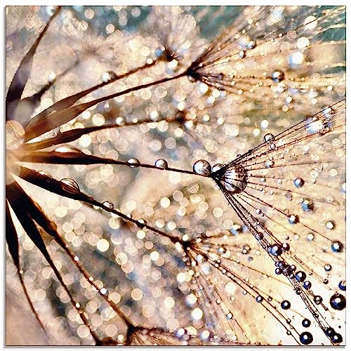 ARTland Wanddeko Glasbilder Wandbild Glas Bild einteilig Quadratisch Innere Ruhe Wellness Abstrakt Pflanzen Blumen Pusteblume Dandelion Regen Tau Tropfen S8WZ ARTland Wanddeko Glasbilder Wandbild Glas Bild einteilig Quadratisch Innere Ruhe Wellness Abstrakt Pflanzen Blumen Pusteblume Dandelion Regen Tau Tropfen S8WZ von ARTLAND